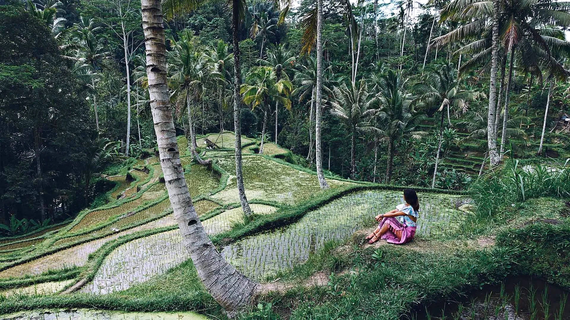 Studerende på en mark foran en vulkan på Bali