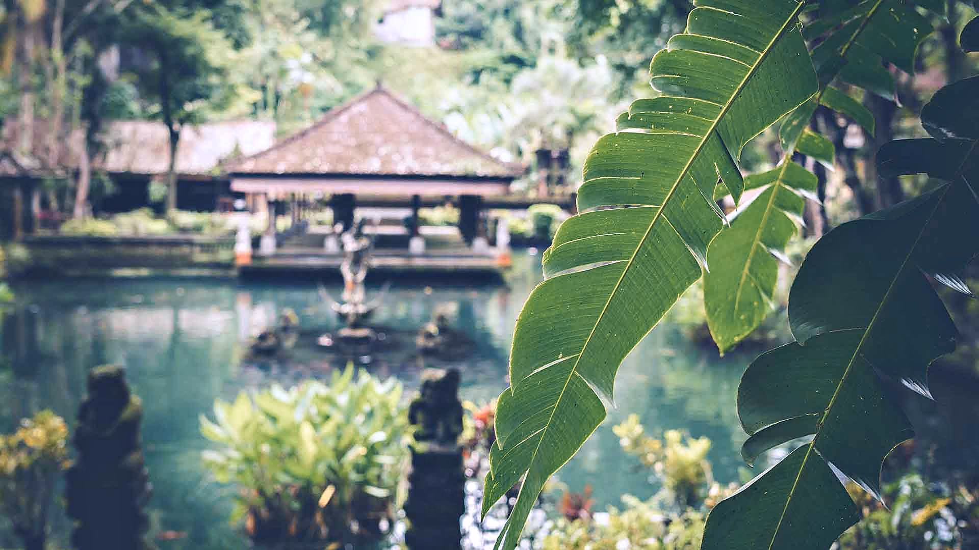Pavillon und Teiche eines Wasserpalasts auf Bali, ein Ausflugsziel für Studierende